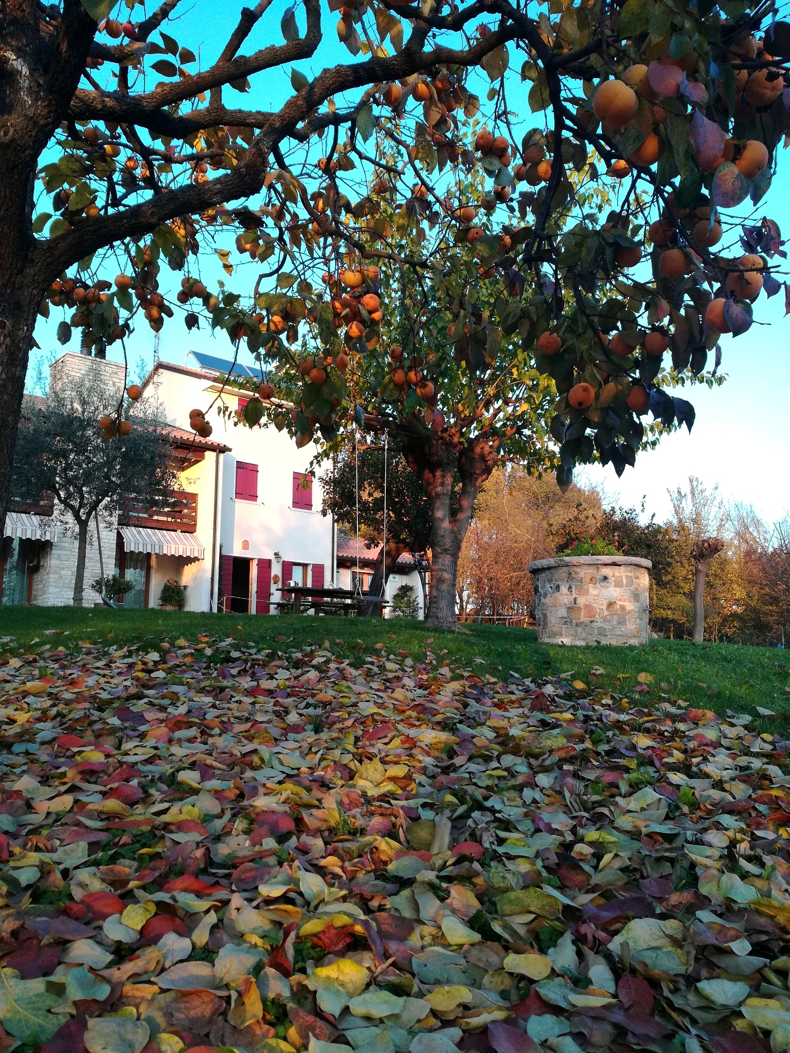 Paesaggio autunnale nei dintorni del B&B Santa Fosca